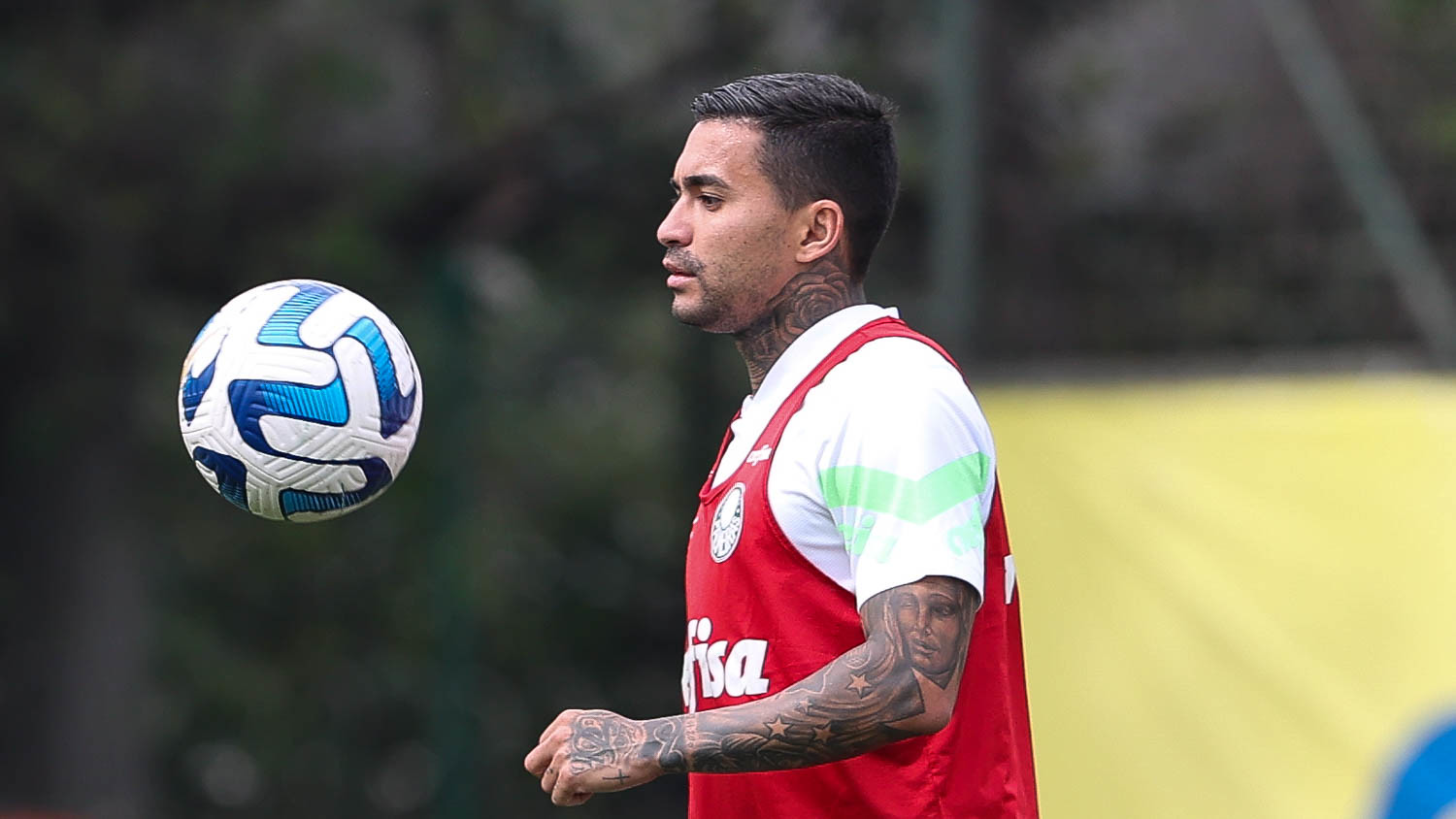 Dudu retornará ao time do Palmeiras na Libertadores (Foto: Cesar Greco/Palmeiras/by Canon)
