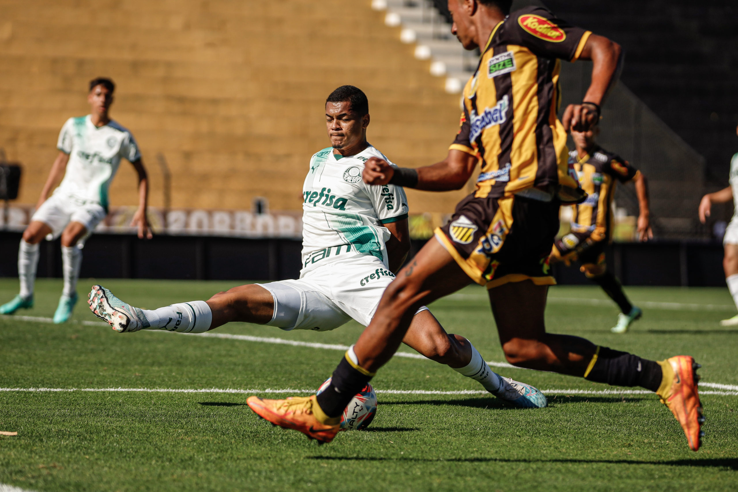 A única derrota do Palmeiras na competição foi para o Novorizontino. FOTO: Gustavo Ribeiro/Novorizontino