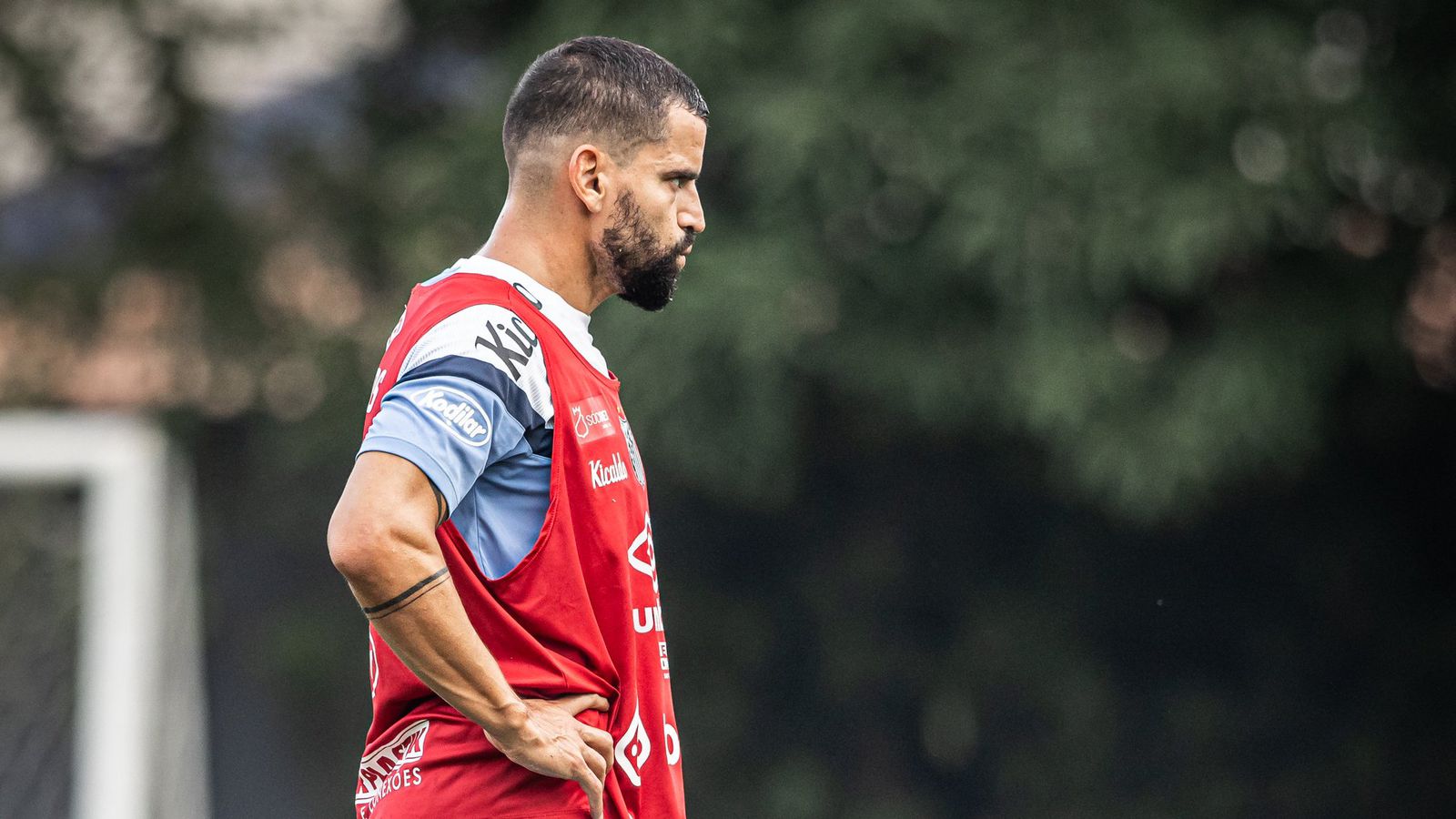 Tomás Rincón (Foto: Raul Baretta/ Santos FC)