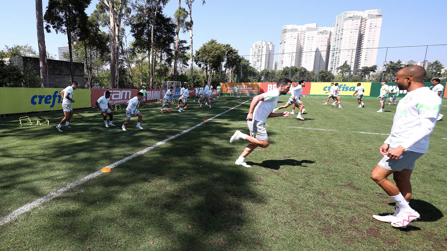 Palmeiras se reapresenta após folga e visa duelo contra o Boca pela Libertadores. (Foto: Cesar Greco/Palmeiras)