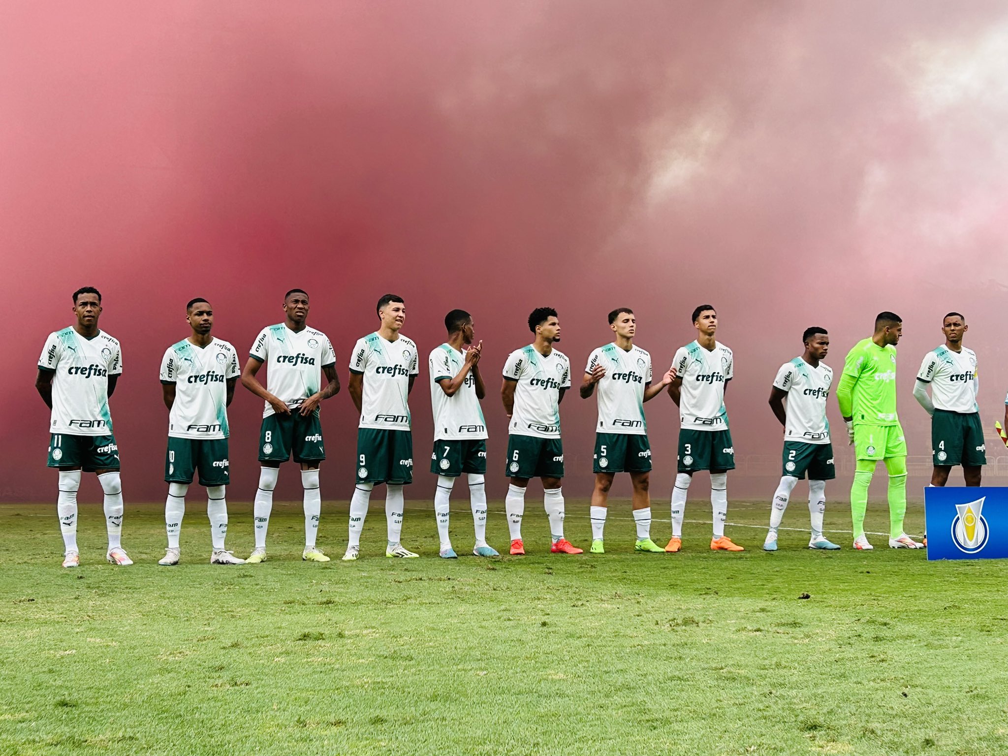 Goleiro alviverde brilhou no tempo normal da decisão (Foto: Divulgação/Twitter/SE Palmeiras)