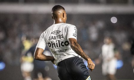 Santos vai disputar partidas na Vila Belmiro no Brasileirão (Foto: Divulgação/Santos FC)