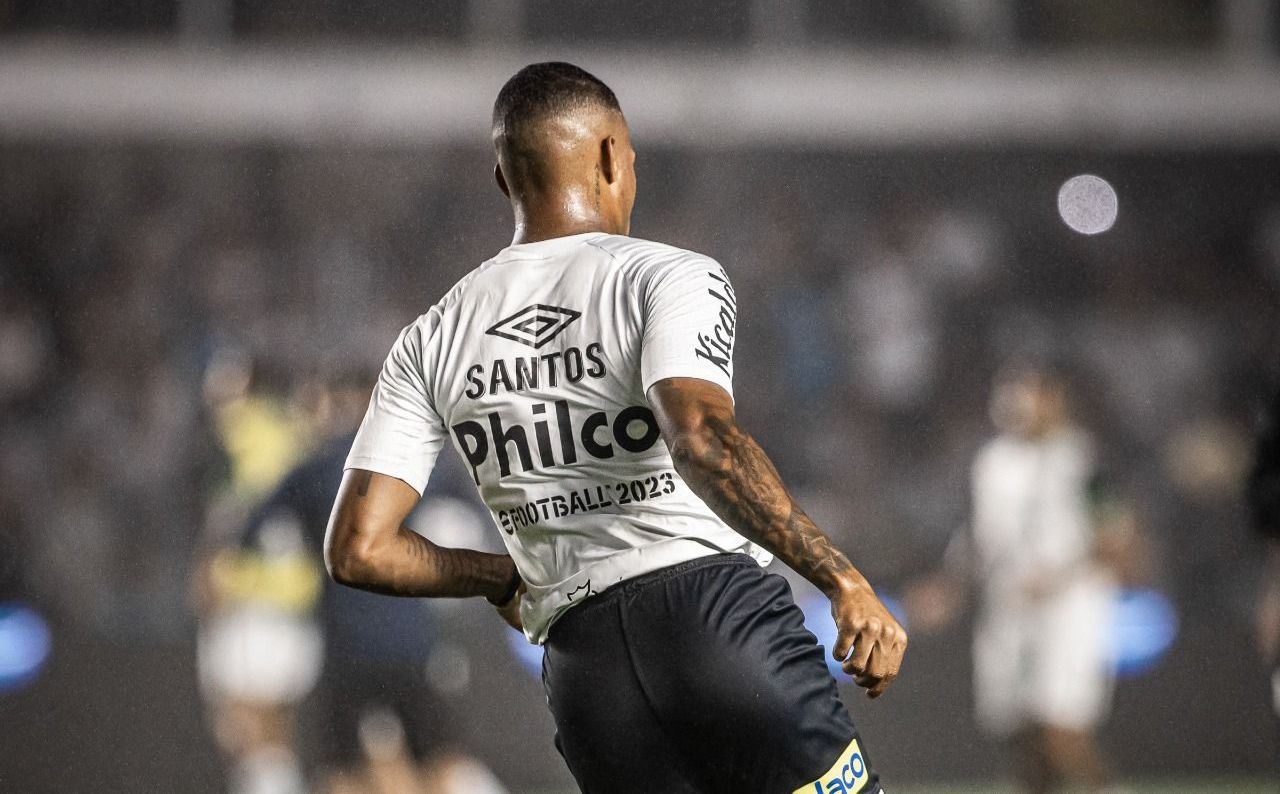 Santos vai disputar partidas na Vila Belmiro no Brasileirão (Foto: Divulgação/Santos FC)