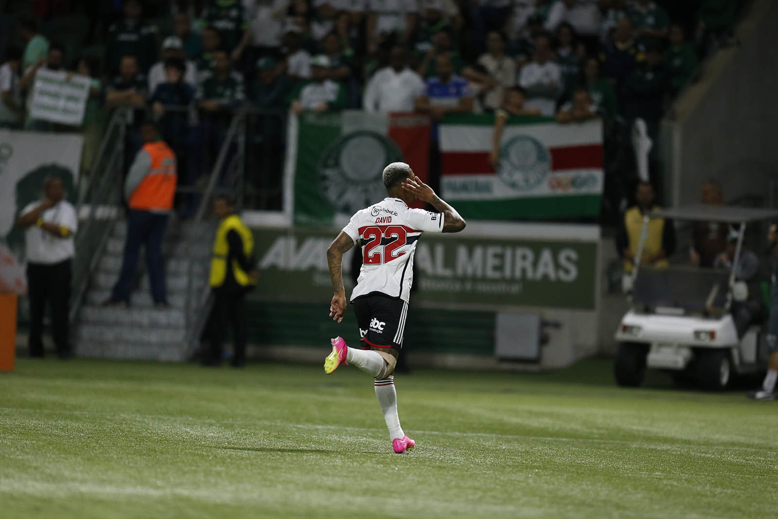 David (Paulo Pinto / saopaulofc.net)