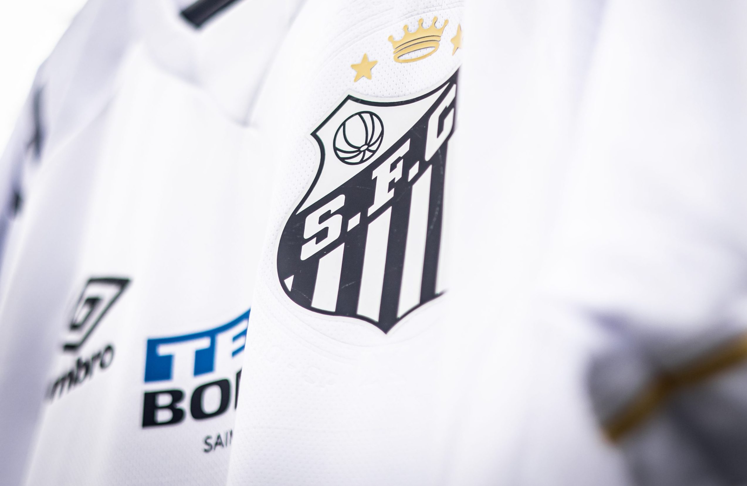 (Foto: Raul Baretta/ Santos FC)