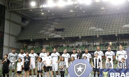 Botafogo ganhou fôlego pelo título brasileiro (Foto: Vítor Silva/Botafogo)