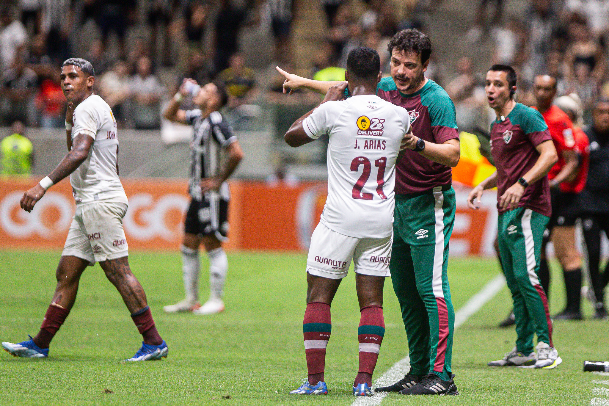 Diniz lamenta derrota do Fluminense (Foto: Marcelo Gonçalves/Fluminense)