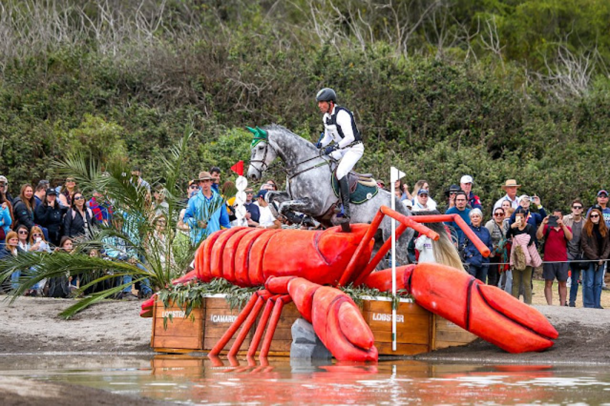 Brasil garante prata no hipismo e atropela no tênis de mesa; veja o resumo (Foto: Luis Ruas / CBH)