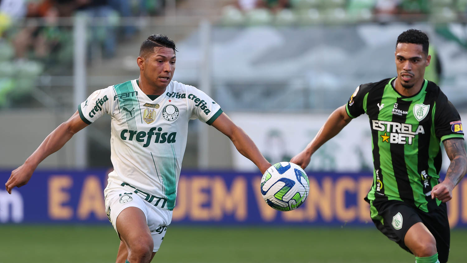 Palmeiras busca superar América-MG por manutenção da liderança do Brasileirão. (Foto: Cesar Greco/Palmeiras)
