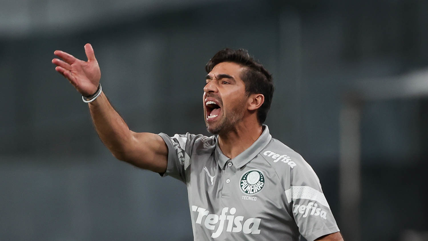 Abel Ferreira durante confronto entre Palmeiras e Botafogo.(Foto: Cesar Greco/Palmeiras).
