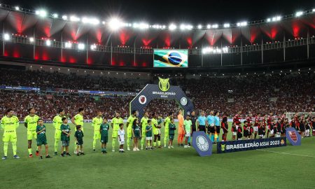 Luta pelo título está acirrada (Foto: Cesar Greco/Palmeiras)