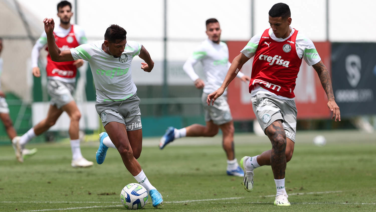 Com sete Crias da Academia substituindo os desfalques, Palmeiras treina visando a próxima partida. (Foto: Cesar Greco/Palmeiras)