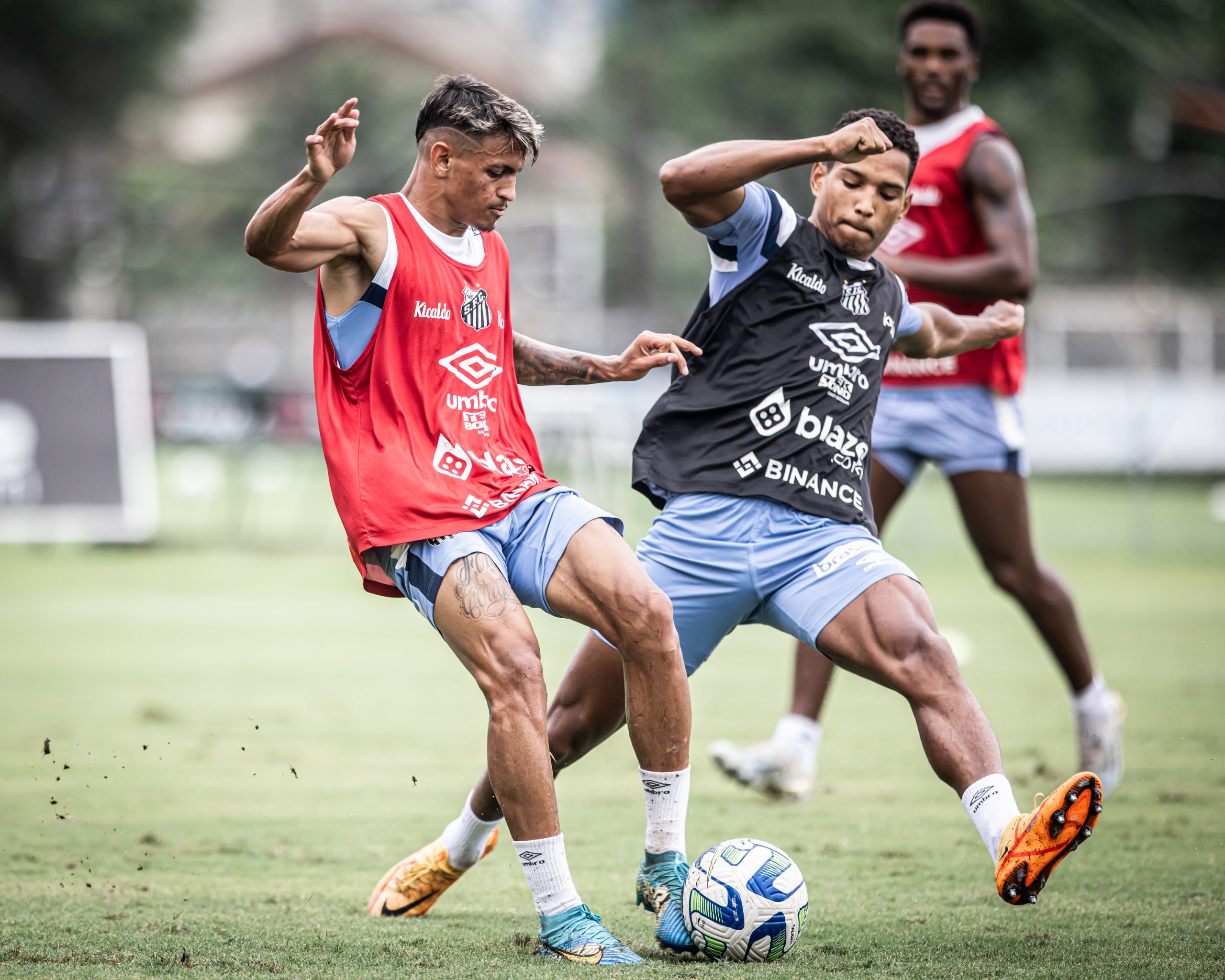 (Foto: Raul Baretta/ Santos FC)