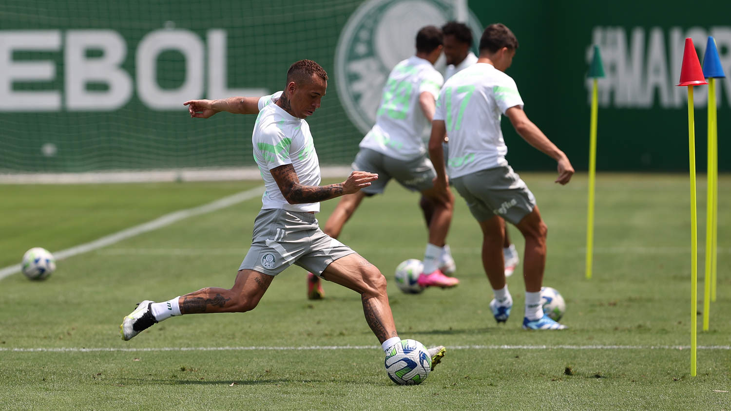 Equipe enfrentará o Fortaleza no dia 26, às 18h30, na Arena Castelão (Foto: Cesar Greco/Palmeiras/by Canon)