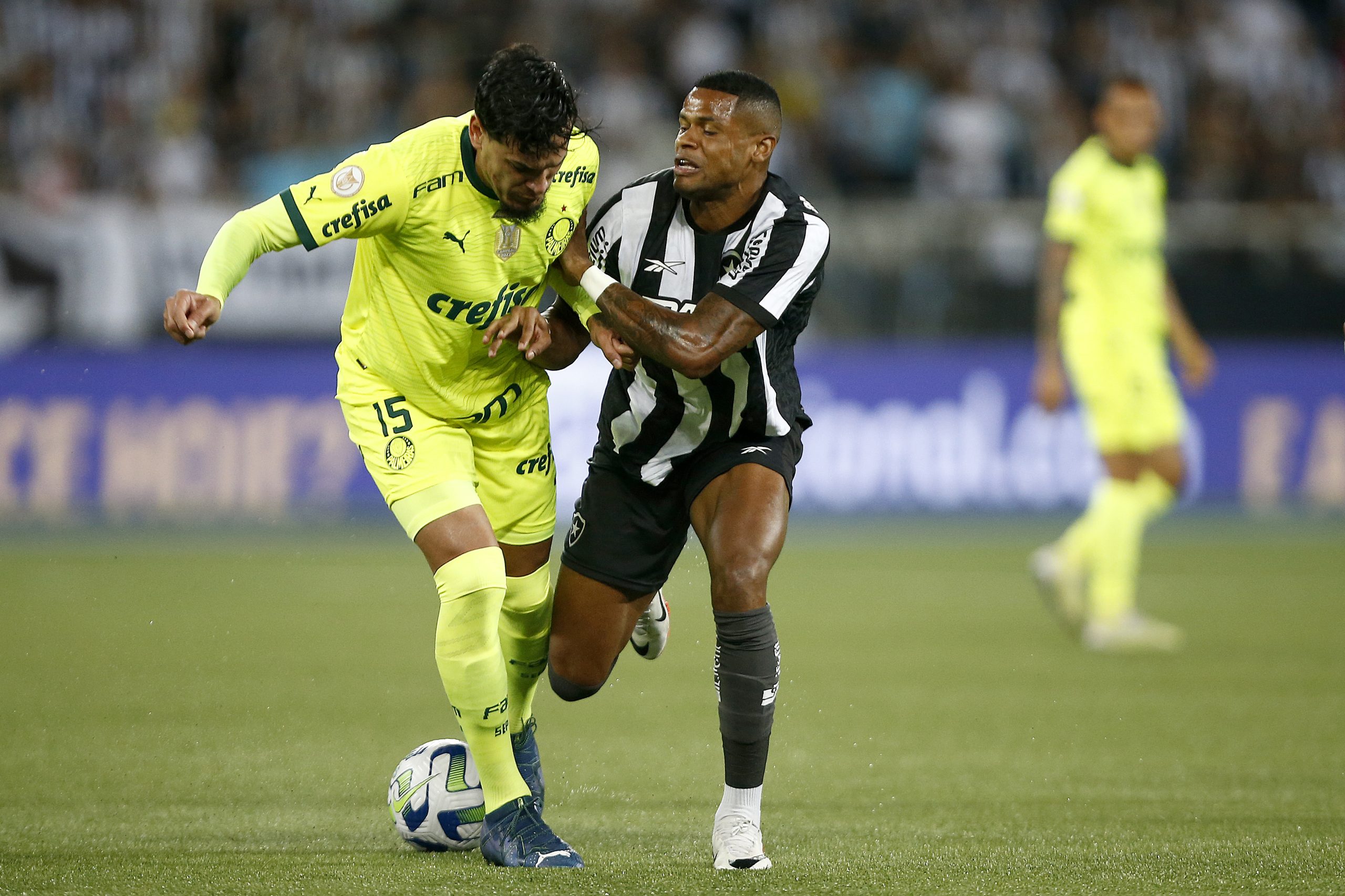 Palmeiras venceu o Botafogo em virada histórica (Foto: Wagner Meier/Getty Images)