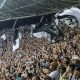 Botafogo enfrenta o Santos pelo Brasileirão (Foto: Divulgação/Botafogo)