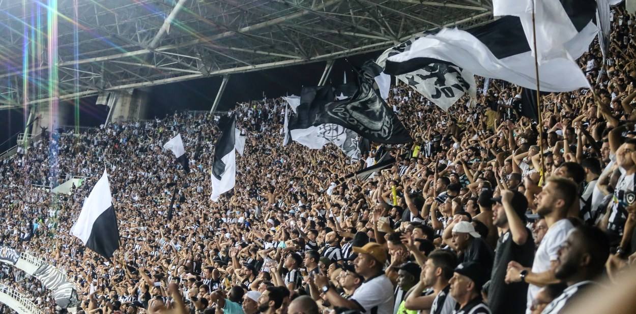 Botafogo enfrenta o Santos pelo Brasileirão (Foto: Divulgação/Botafogo)