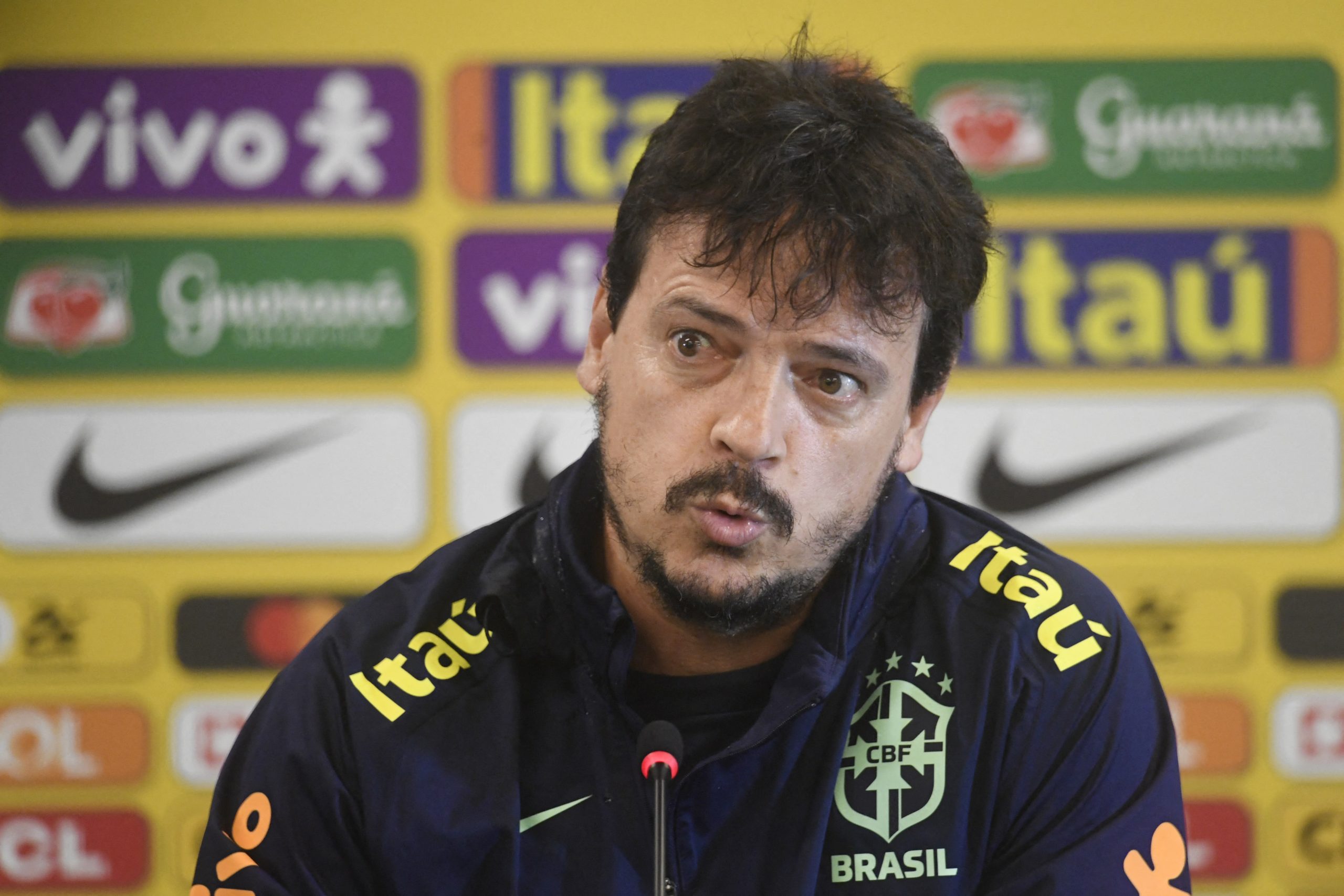 Diniz não é mais mais técnico da Seleção (Foto: DANIEL RAMALHO/AFP via Getty Images)