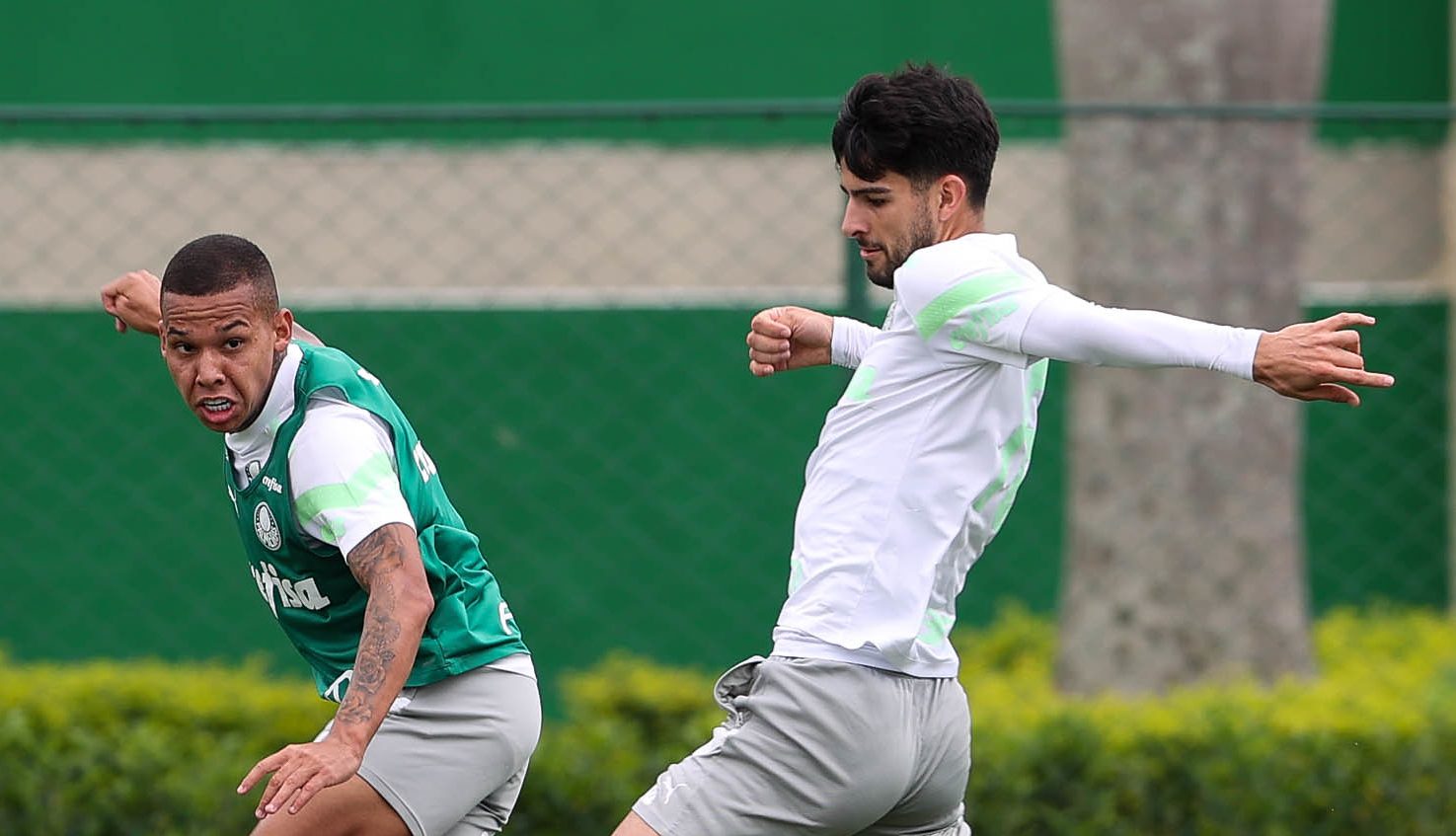 Depois de virada histórica, Flaco López não esconde alegria: 'Feliz de fazer parte'. (Foto: Cesar Greco/Palmeiras)