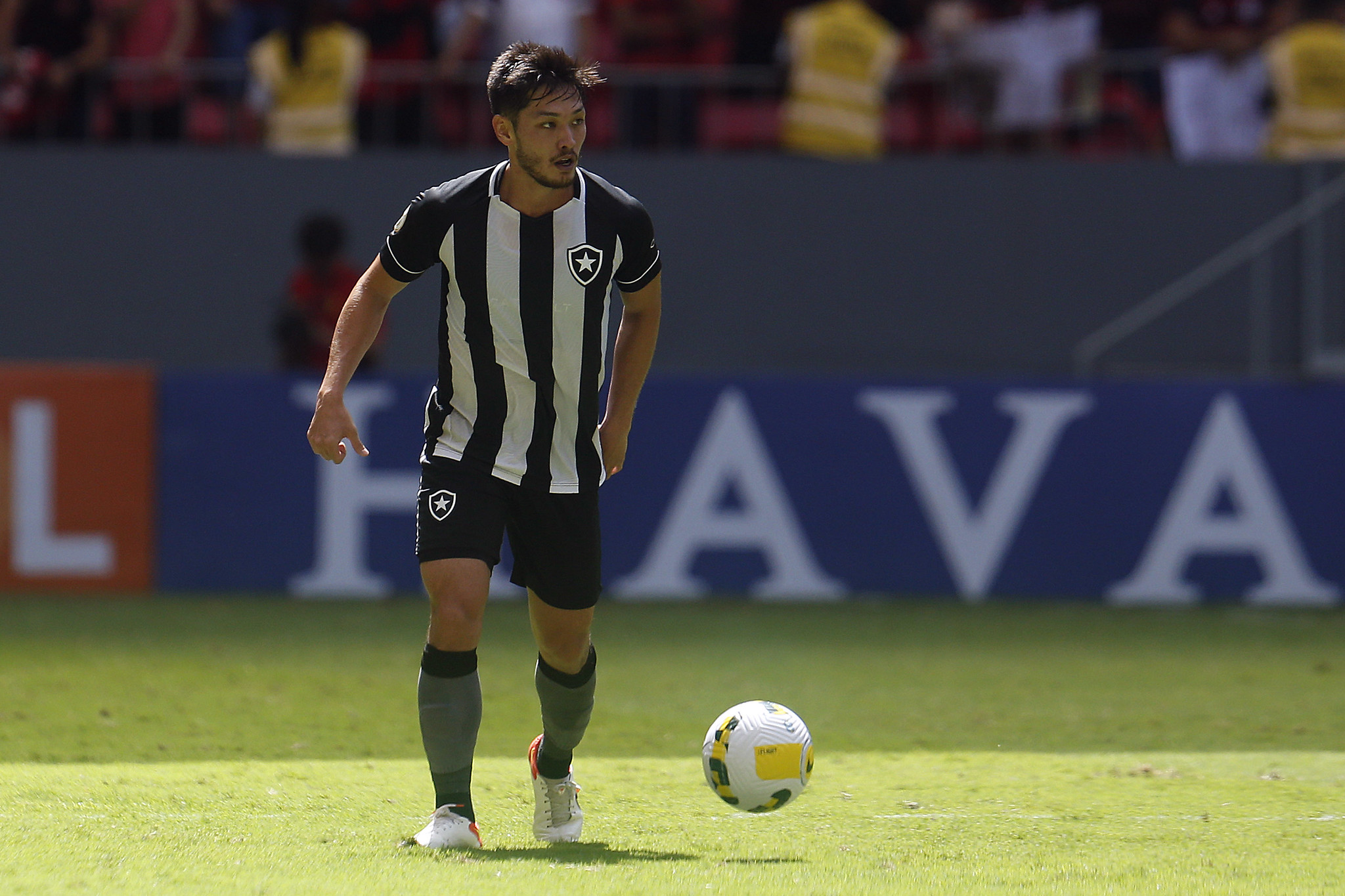 Luís Oyama em ação pelo Botafogo (Foto: Vitor Silva/Botafogo)