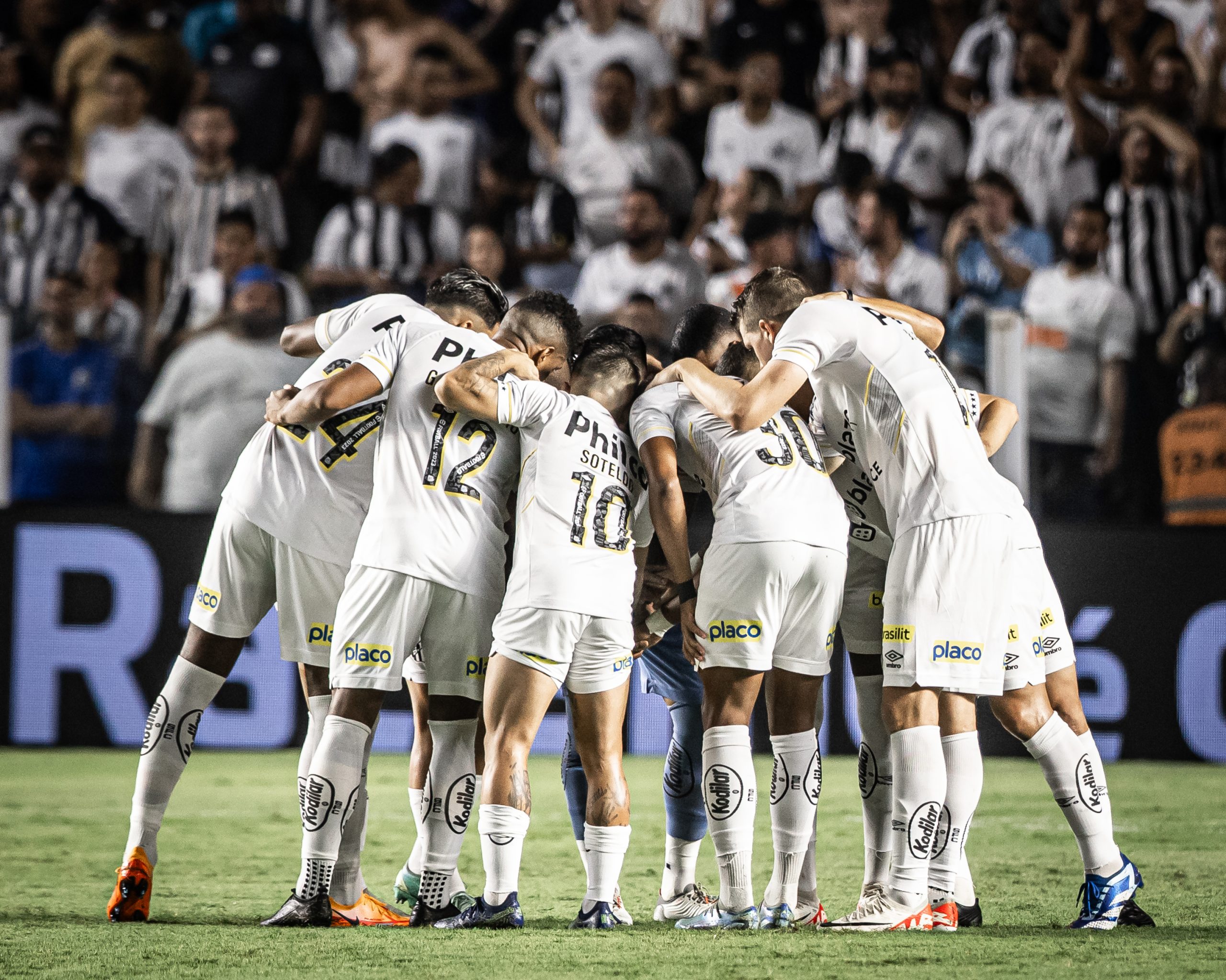 (Foto: Raul Baretta/ Santos FC)