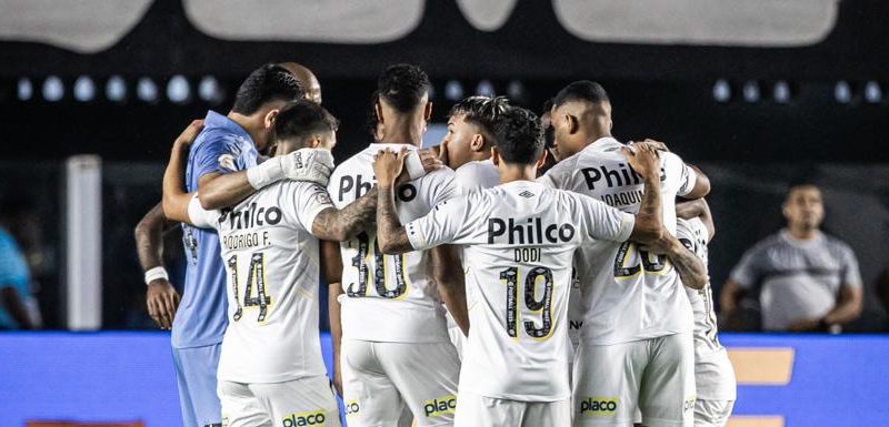 Santos (Foto: Raul Baretta / Santos FC)