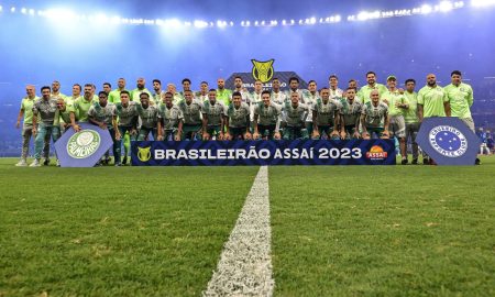 Além do título: Veja os números da campanha do Palmeiras no Brasileirão. (Foto: Pedro Vilela/Getty Images)