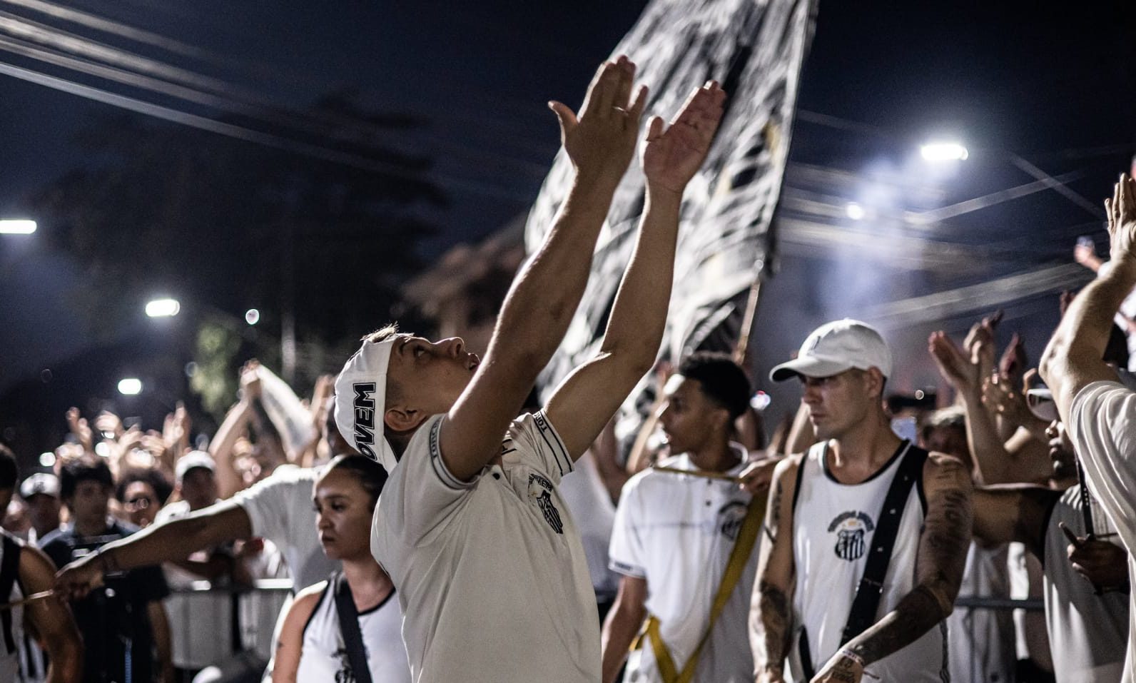 Torcida Santos (Foto: Raul Baretta/Santos FC)