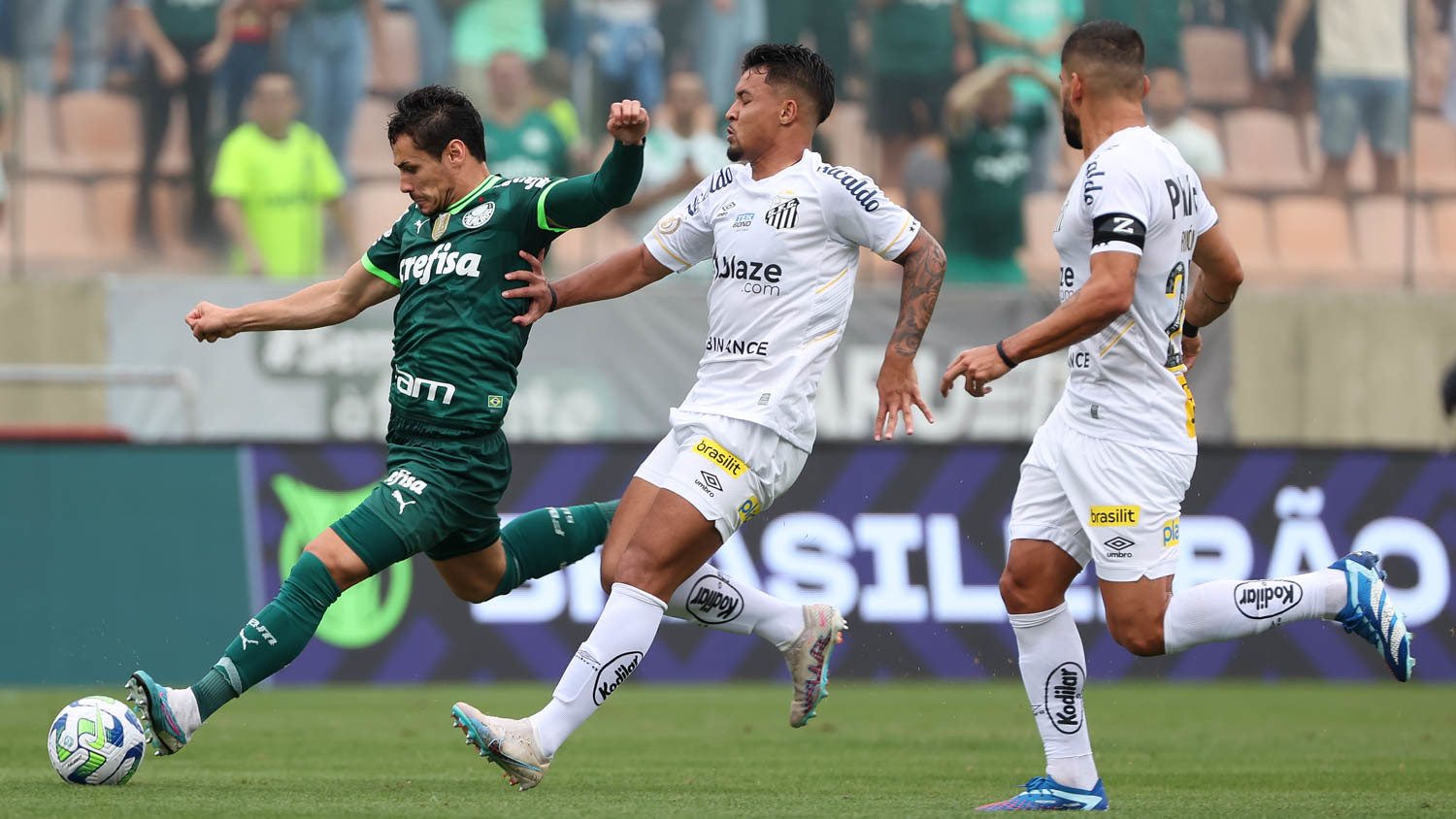 Palmeiras enfrenta o Santos visando manter invencibilidade na temporada. (Foto: Cesar Greco/Palmeiras)