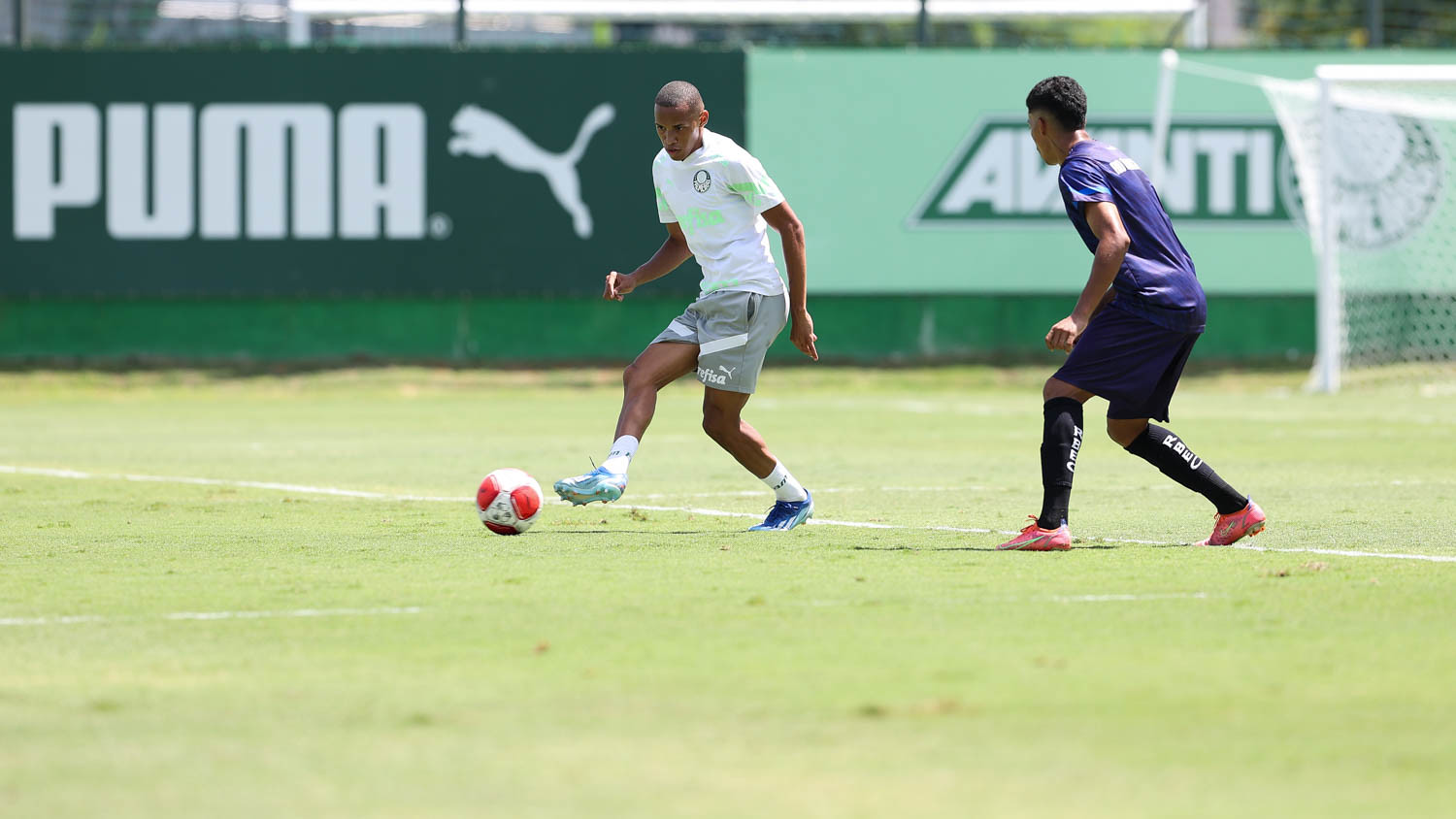 Com testes na formação, Palmeiras goleia em primeiro jogo-treino da temporada. (Foto: Cesar Greco/Palmeiras)