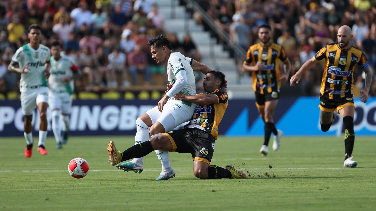 Pelo segundo ano seguido, Palmeiras começa o Paulistão sem vitória. (Foto: Cesar Greco/Palmeiras)