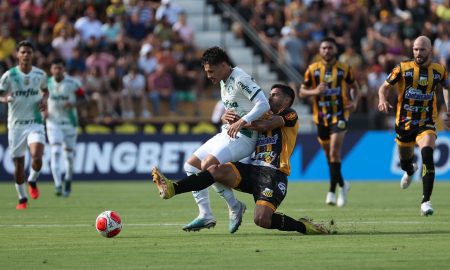 Atuações ENM: Palmeiras sofre empate no fim e sai com gosto de derrota em estreia do Paulistão, (Foto: Cesar Greco/Palmeiras)