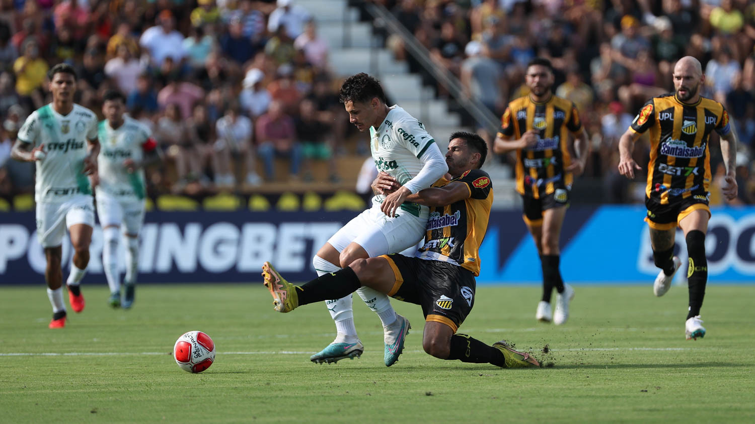 Atuações ENM: Palmeiras sofre empate no fim e sai com gosto de derrota em estreia do Paulistão, (Foto: Cesar Greco/Palmeiras)