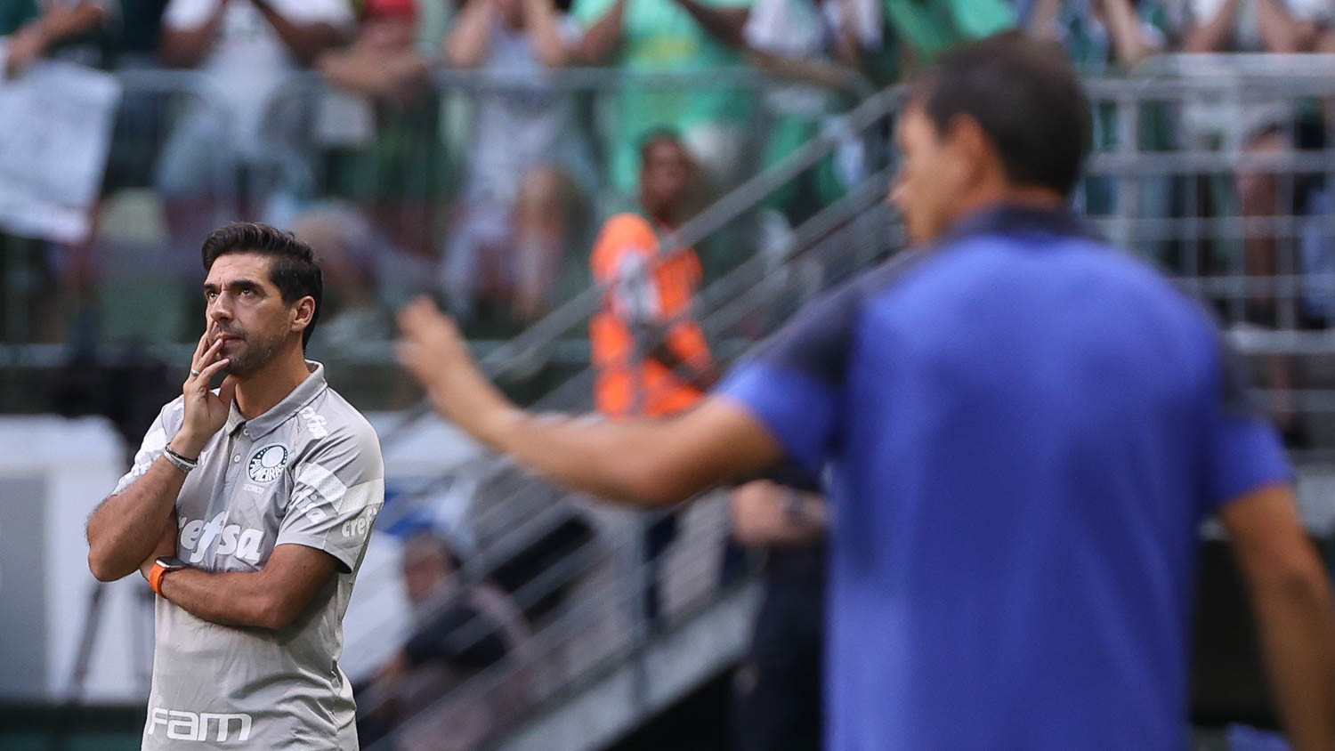 Foto: Cesar Greco/Palmeiras