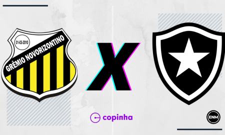 Novorizontino x Botafogo (Arte: ENM)