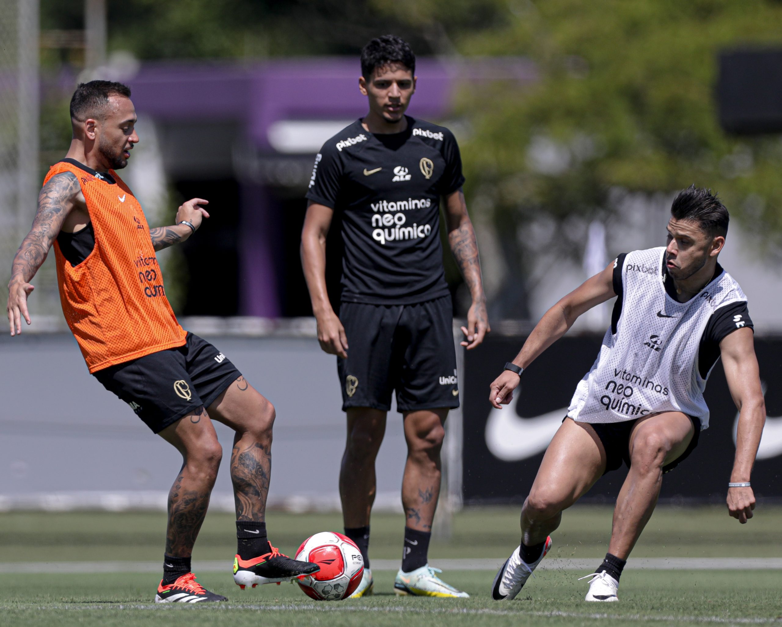 (Foto: Rodrigo Coca/Agência Corinthians)