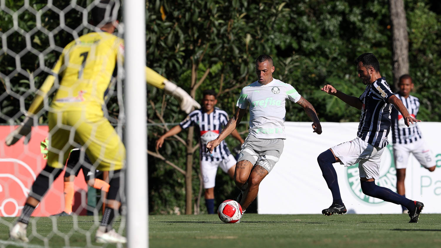 (Foto: Cesar Greco/Palmeiras/by Canon)