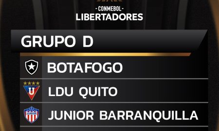 Grupo do Botafogo. (Foto:Divulgação/Botafogo)