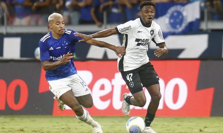 Botafogo e Cruzeiro (Foto: Vitor Silva/Botafogo)