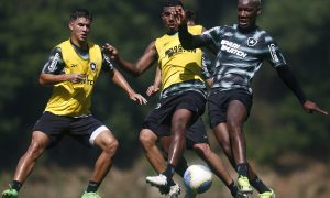 Botafogo enfrenta o Vitoria pela Copa do Brasil Vítor Silva/Botafogo