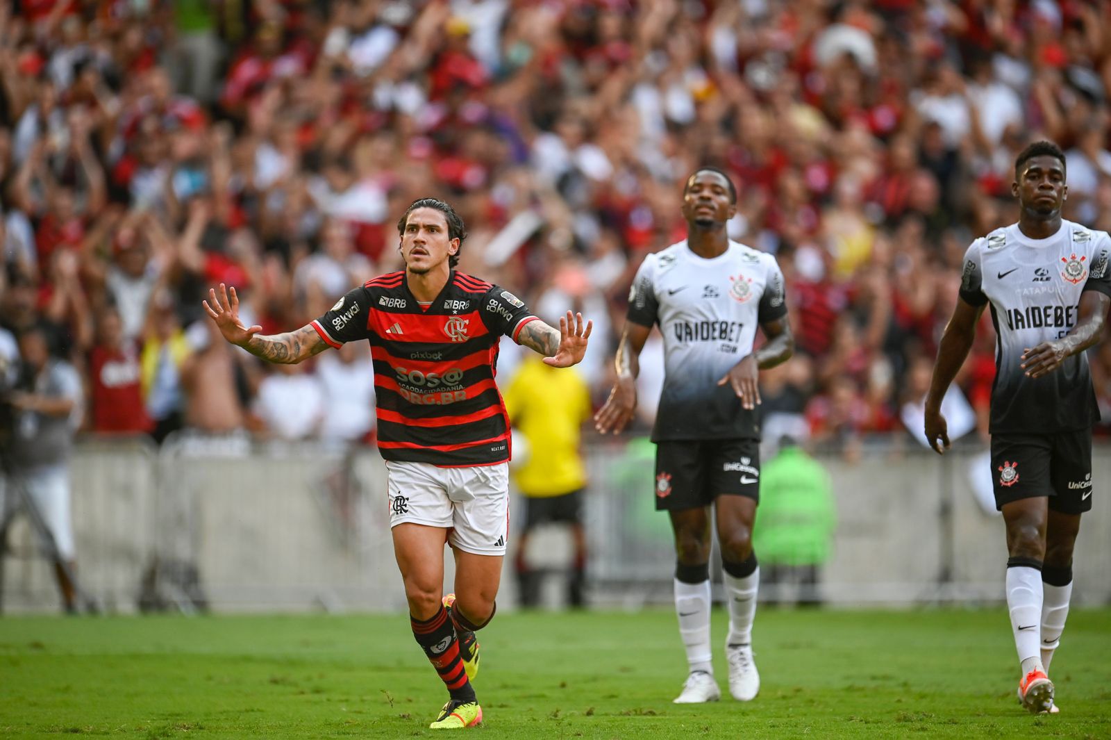 Pedro, em vitória do Flamengo contra o Corinthians. (Foto: Marcelo Cortes/CRF).