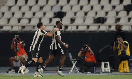 Botafogo comemora empate (Foto: Wagner Meier/Getty Images)
