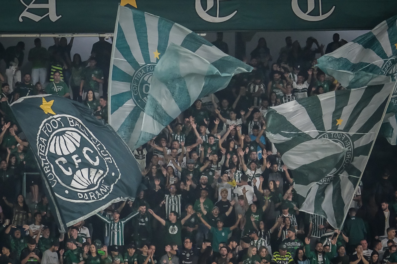 Torcida do Coritiba (Foto: Cecilia Grocoske / Coritiba)