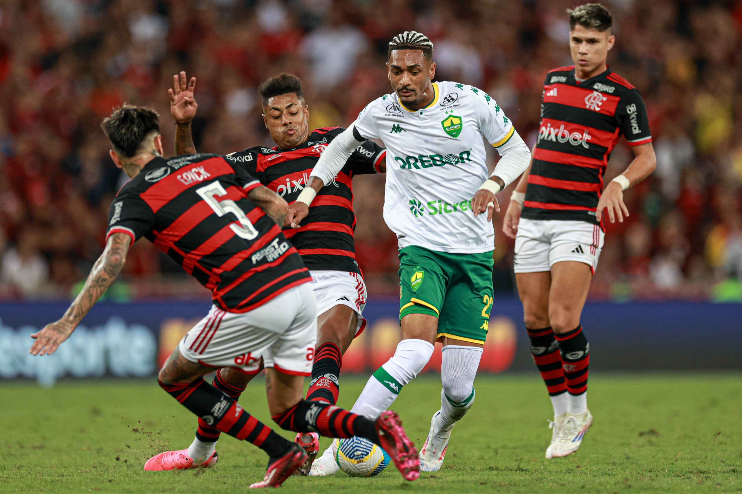 Flamengo (Foto: AssCom Dourado)