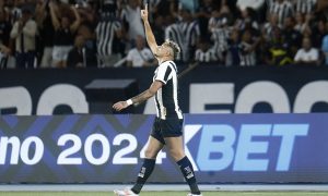 Tiquinho Soares comemorando o gol contra o Palmeiras. (Foto: Vítor Silva/Botafogo)