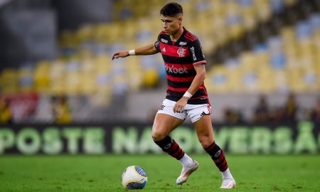 Luiz Araújo. Foto: Marcelo Cortes /Flamengo