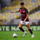 Luiz Araújo. Foto: Marcelo Cortes /Flamengo