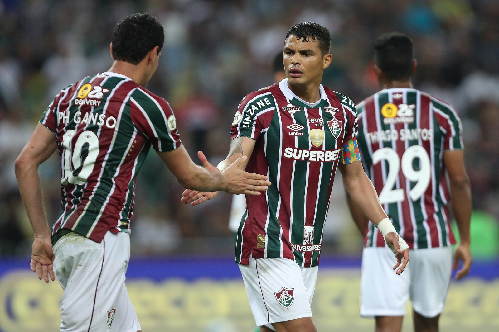 Fluminense vence o Palmeiras na 19ª rodada do Brasileirão. (Photo by Wagner Meier/Getty Images)