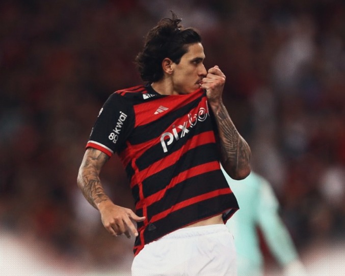 Pedro comemora seu gol contra o Palmeiras. Foto: Reprodução Twitter Flamengo