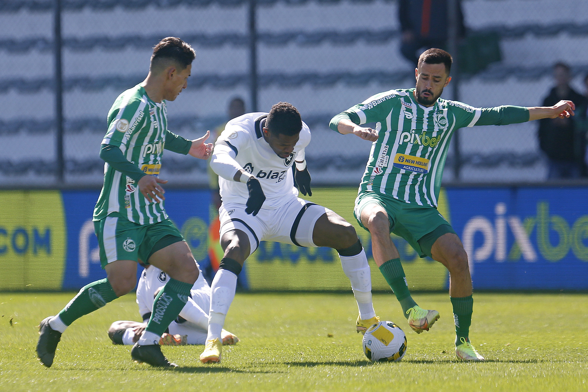 Júnior Santos. (Foto: Vitor Silva/Botafogo)